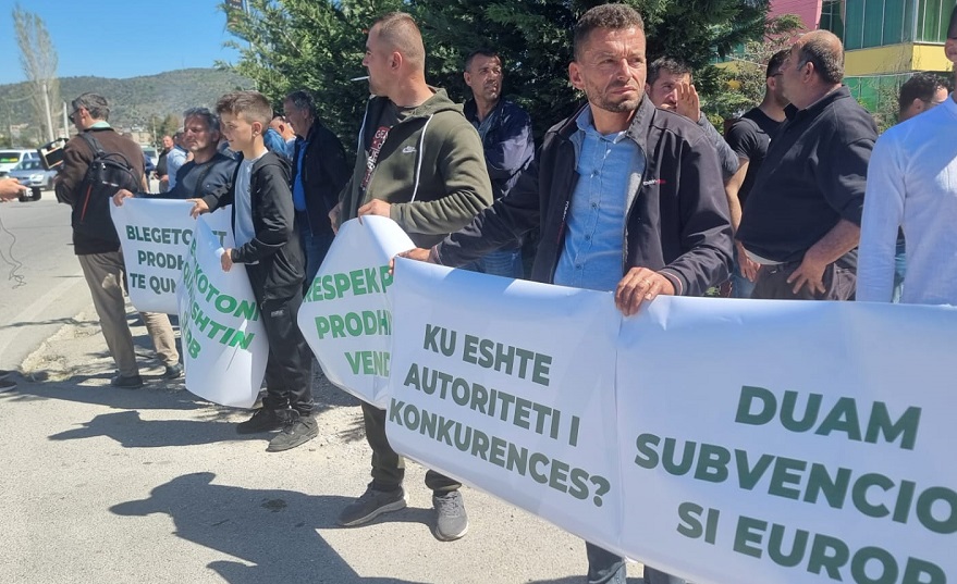 Fermeret ne proteste, bllokojne autostraden Lushnje-Fier